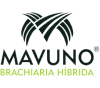 mavuno